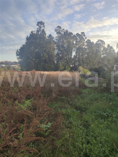 Terreno para Construção / Barcelos, Alvito (São Pedro e São Martinho) e Couto