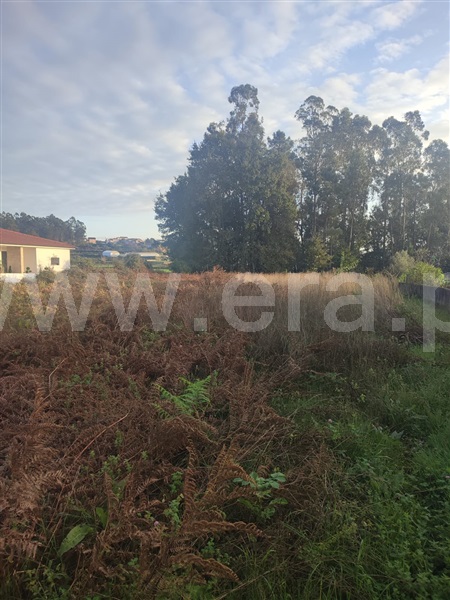 Terreno para Construção  Barcelos, Alvito (São Pedro e São Martinho) e Couto - 1445524 - 9