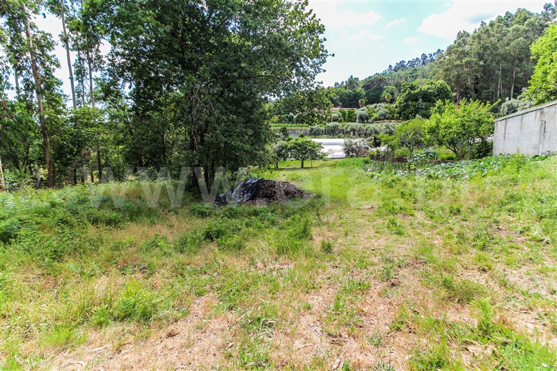 Terreno para Construção  Barcelos, Alvito (São Pedro e São Martinho) e Couto - 1511723 - 9