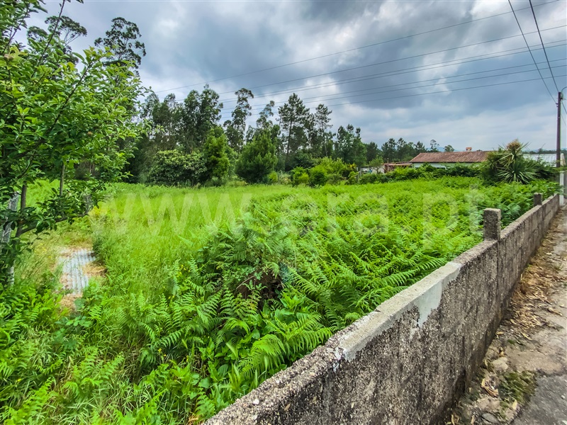 Terreno para Construção  Barcelos, Areias - 1332435 - 4