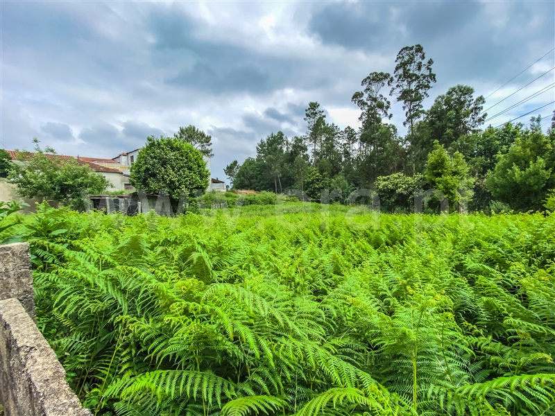 Terreno para Construção  Barcelos, Areias - 1332435 - 7