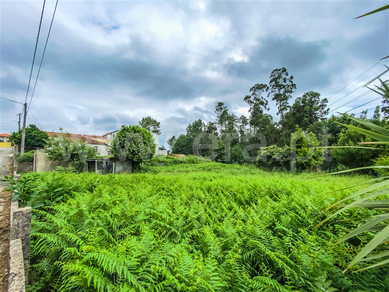 Terreno para Construção  Barcelos, Areias - 1332435 - 8