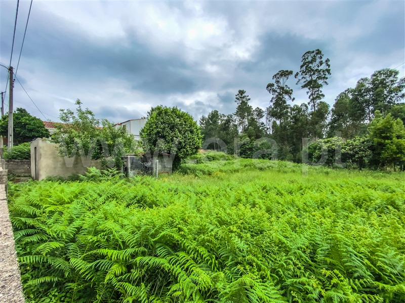 Terreno para Construção  Barcelos, Areias - 1332435 - 9