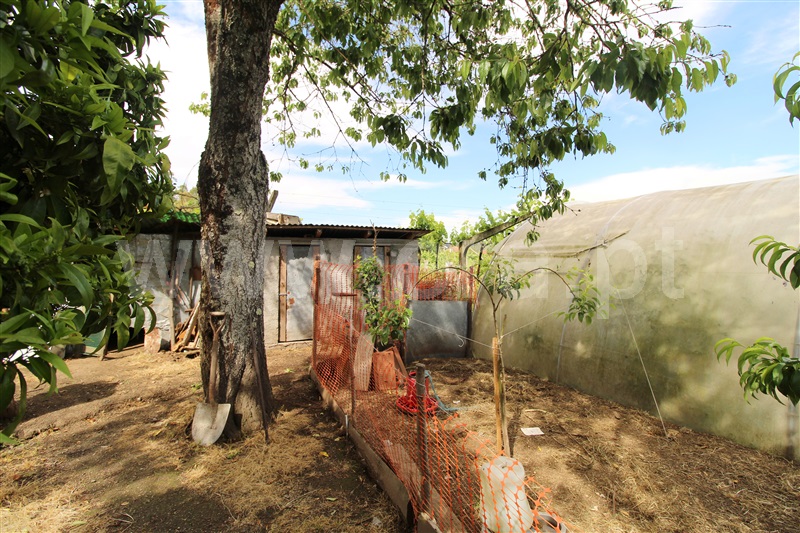 Terreno para Construção  Barcelos, Balugães - 1250979 - 3