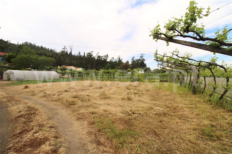 Terreno para Construção / Barcelos, Balugães