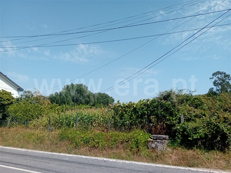 Terreno para Construção  Barcelos, Balugães - 1500275 - 1