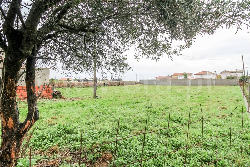 Terreno para Construção  Barcelos, Barqueiros - 1361798 - 4