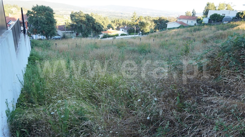 Terreno para Construção  Barcelos, Campo e Tamel (São Pedro Fins) - 1263321 - 4