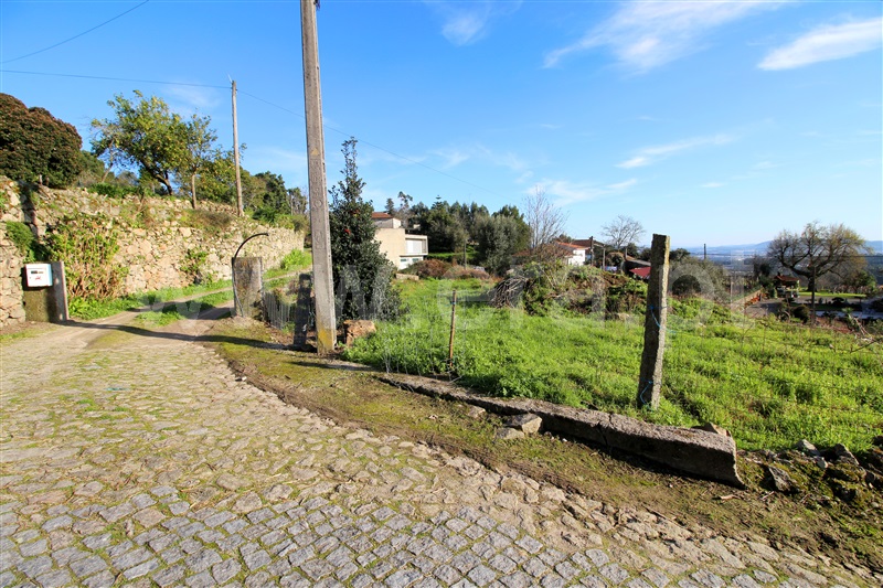 Terreno para Construção  Barcelos, Campo e Tamel (São Pedro Fins) - 1438841 - 5