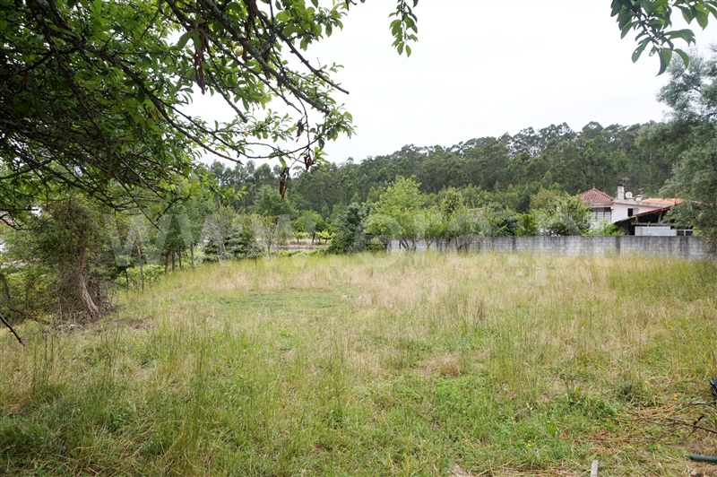 Terreno para Construção  Barcelos, Campo e Tamel (São Pedro Fins) - 1468837 - 3