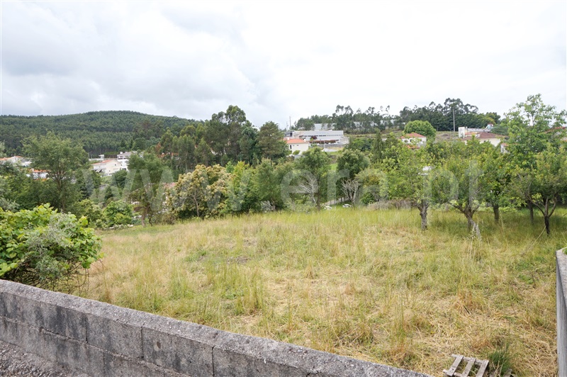 Terreno para Construção  Barcelos, Campo e Tamel (São Pedro Fins) - 1468837 - 6