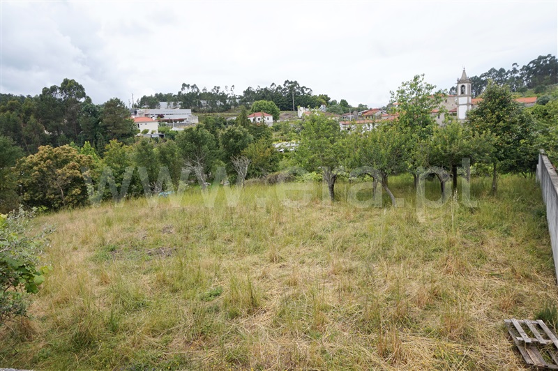 Terreno para Construção  Barcelos, Campo e Tamel (São Pedro Fins) - 1468837 - 7