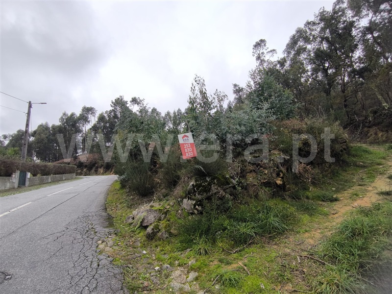 Terreno para Construção / Barcelos, Campo e Tamel (São Pedro Fins)