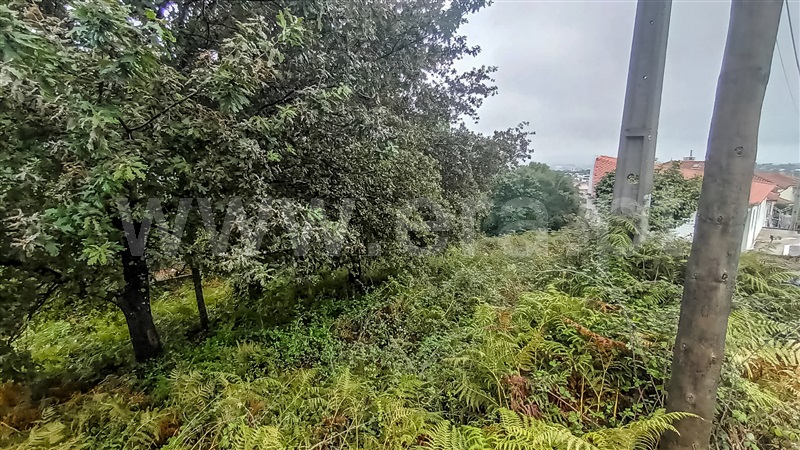 Terreno para Construção  Barcelos, Carvalhal - 1435272 - 4