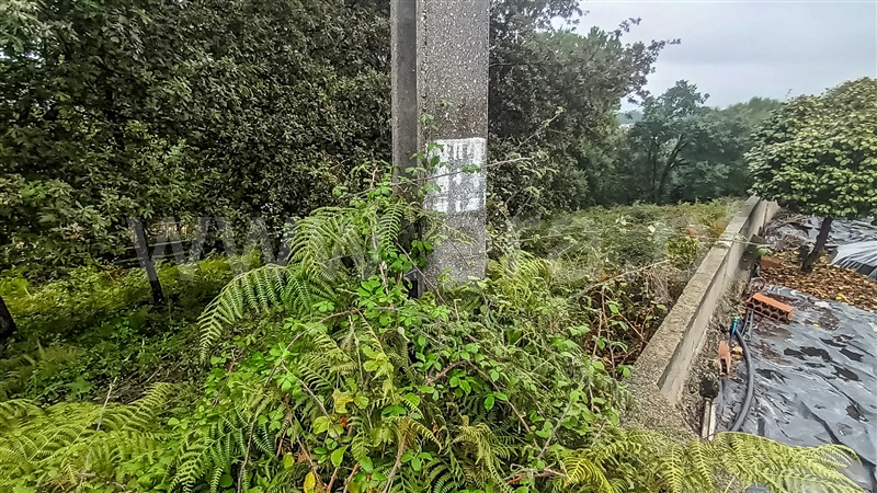 Terreno para Construção  Barcelos, Carvalhal - 1435272 - 5