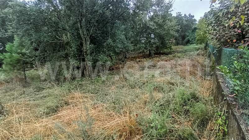 Terreno para Construção  Barcelos, Carvalhal - 1435272 - 8