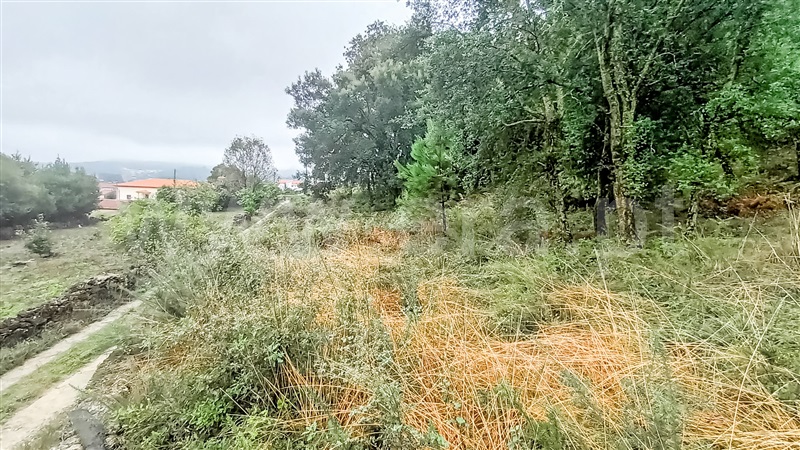 Terreno para Construção  Barcelos, Carvalhal - 1435272 - 9