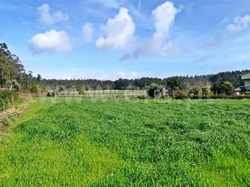 Terreno para Construção / Barcelos, Chorente, Góios, Courel, Pedra Furada e Gueral