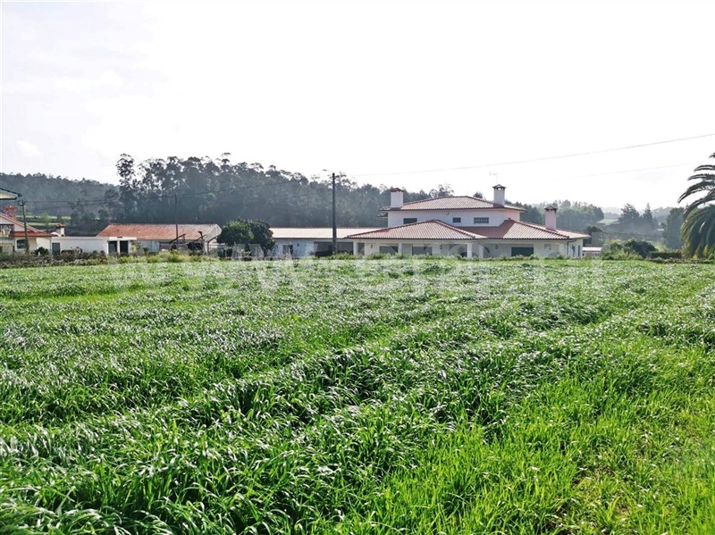 Terreno para Construção  Barcelos, Chorente, Góios, Courel, Pedra Furada e Gueral - 1314120 - 6