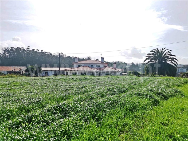 Terreno para Construção  Barcelos, Chorente, Góios, Courel, Pedra Furada e Gueral - 1314120 - 7