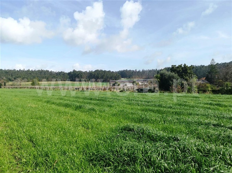 Terreno para Construção  Barcelos, Chorente, Góios, Courel, Pedra Furada e Gueral - 1314120 - 8