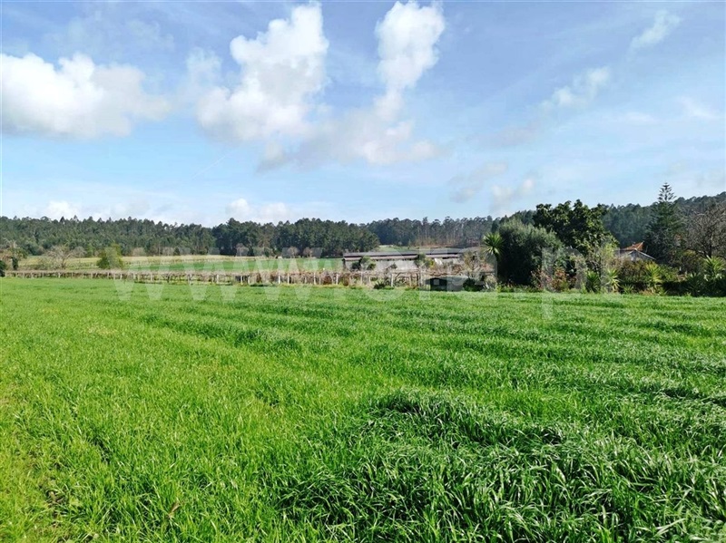 Terreno para Construção  Barcelos, Chorente, Góios, Courel, Pedra Furada e Gueral - 1314120 - 9