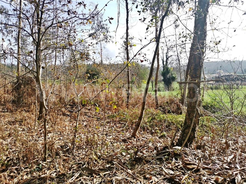 Terreno para Construção  Barcelos, Chorente, Góios, Courel, Pedra Furada e Gueral - 1314120 - 11