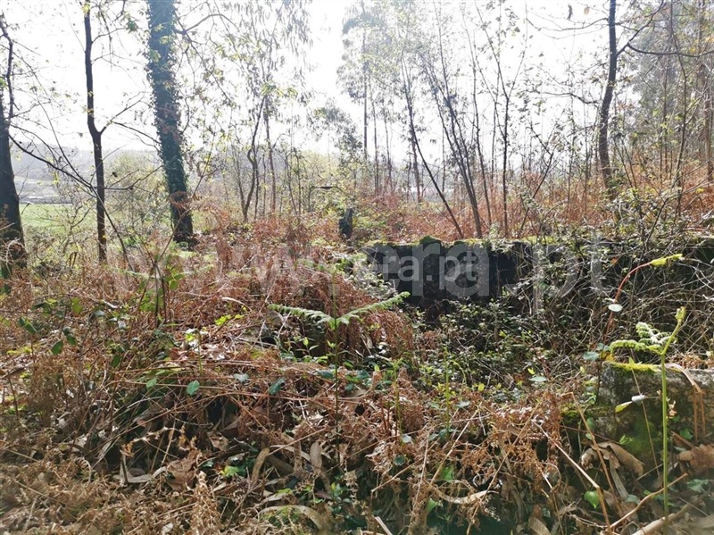 Terreno para Construção  Barcelos, Chorente, Góios, Courel, Pedra Furada e Gueral - 1314120 - 14