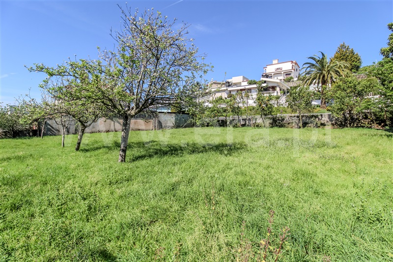 Terreno para Construção  Barcelos, Chorente, Góios, Courel, Pedra Furada e Gueral - 1402850 - 3