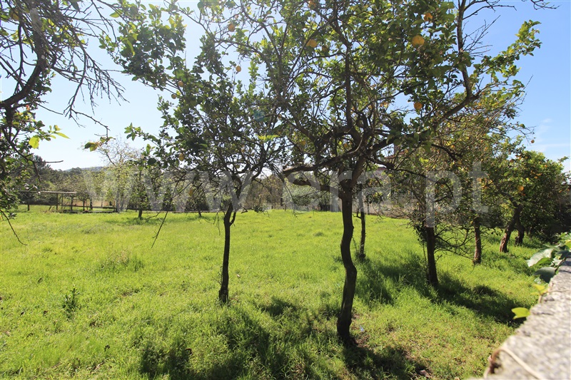 Terreno para Construção  Barcelos, Chorente, Góios, Courel, Pedra Furada e Gueral - 1402850 - 7