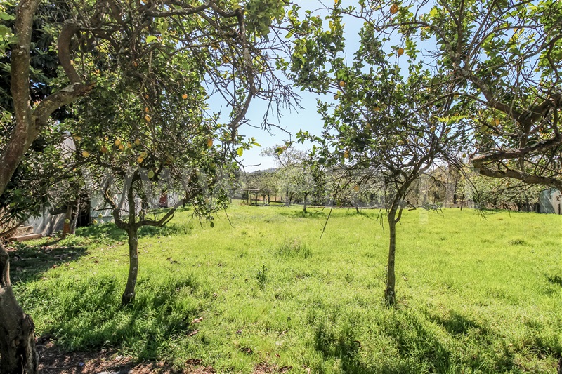 Terreno para Construção  Barcelos, Chorente, Góios, Courel, Pedra Furada e Gueral - 1402850 - 8