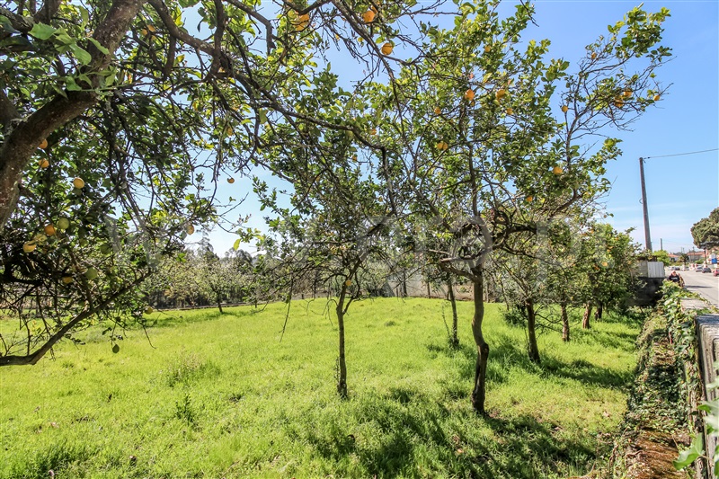 Terreno para Construção  Barcelos, Chorente, Góios, Courel, Pedra Furada e Gueral - 1402850 - 9