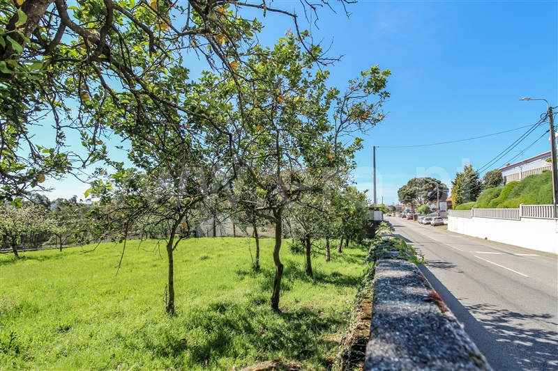 Terreno para Construção  Barcelos, Chorente, Góios, Courel, Pedra Furada e Gueral - 1402850 - 11