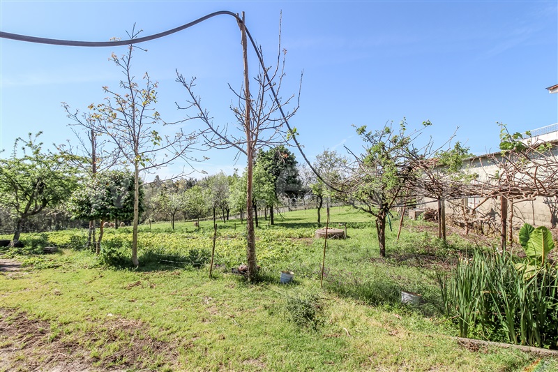 Terreno para Construção  Barcelos, Chorente, Góios, Courel, Pedra Furada e Gueral - 1402851 - 2