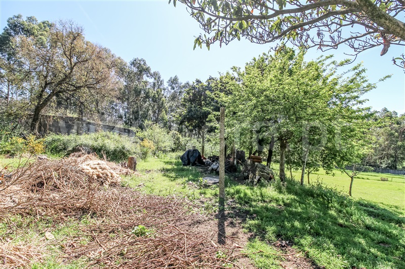 Terreno para Construção  Barcelos, Chorente, Góios, Courel, Pedra Furada e Gueral - 1402851 - 4