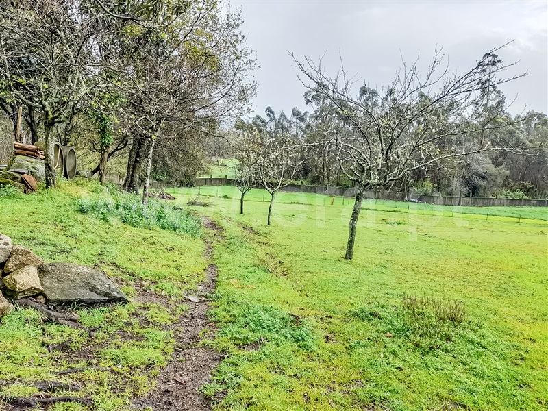 Terreno para Construção  Barcelos, Chorente, Góios, Courel, Pedra Furada e Gueral - 1402851 - 6