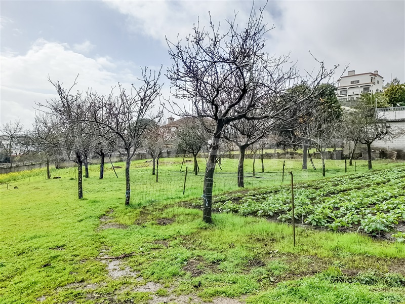 Terreno para Construção  Barcelos, Chorente, Góios, Courel, Pedra Furada e Gueral - 1402851 - 7