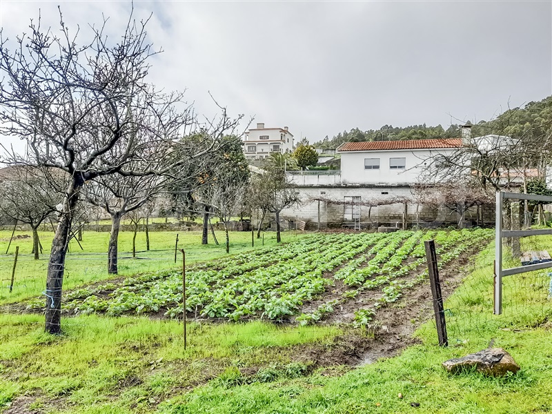 Terreno para Construção  Barcelos, Chorente, Góios, Courel, Pedra Furada e Gueral - 1402851 - 8