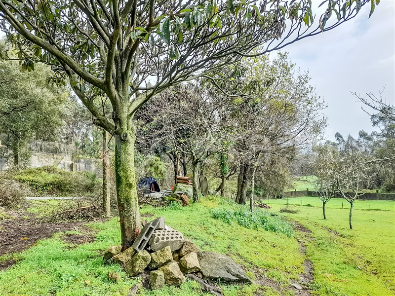 Terreno para Construção  Barcelos, Chorente, Góios, Courel, Pedra Furada e Gueral - 1402851 - 10