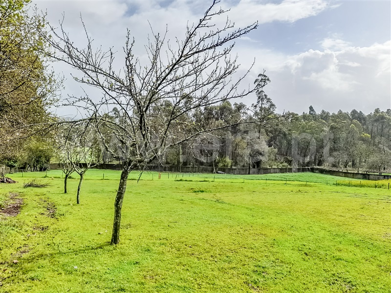 Terreno para Construção  Barcelos, Chorente, Góios, Courel, Pedra Furada e Gueral - 1402851 - 11