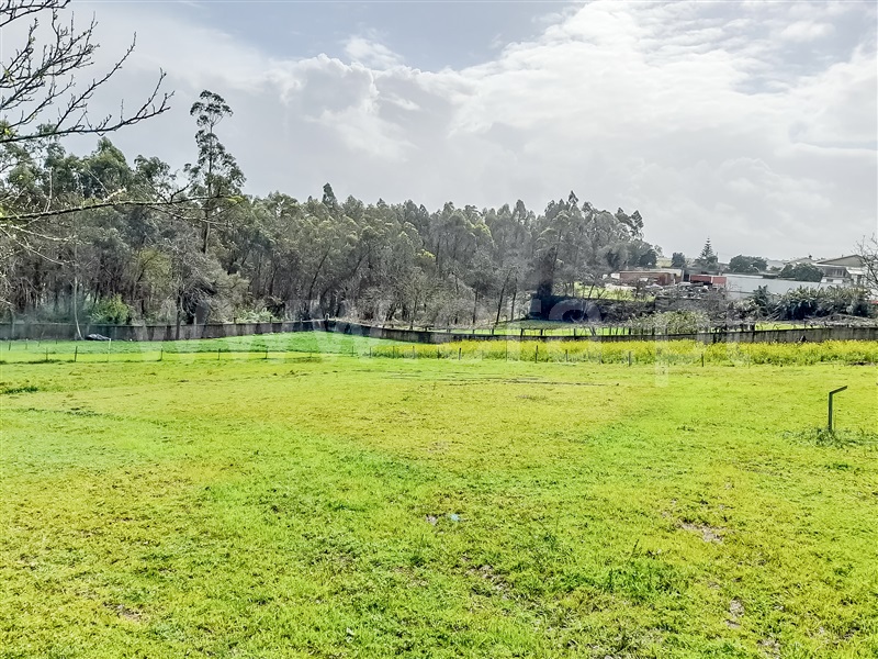 Terreno para Construção / Barcelos, Chorente, Góios, Courel, Pedra Furada e Gueral