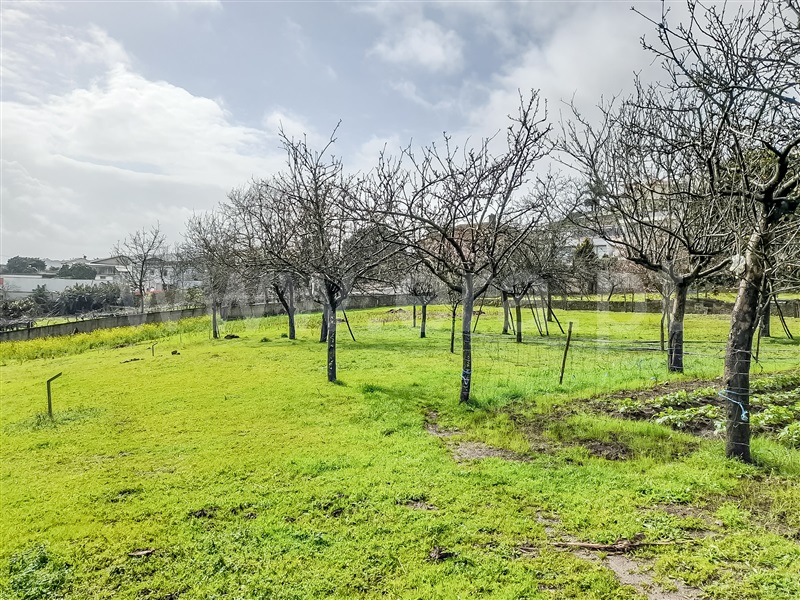 Terreno para Construção  Barcelos, Chorente, Góios, Courel, Pedra Furada e Gueral - 1402851 - 13