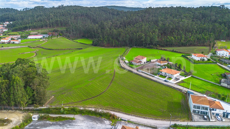 Terreno para Construção  Barcelos, Chorente, Góios, Courel, Pedra Furada e Gueral - 1443324 - 12