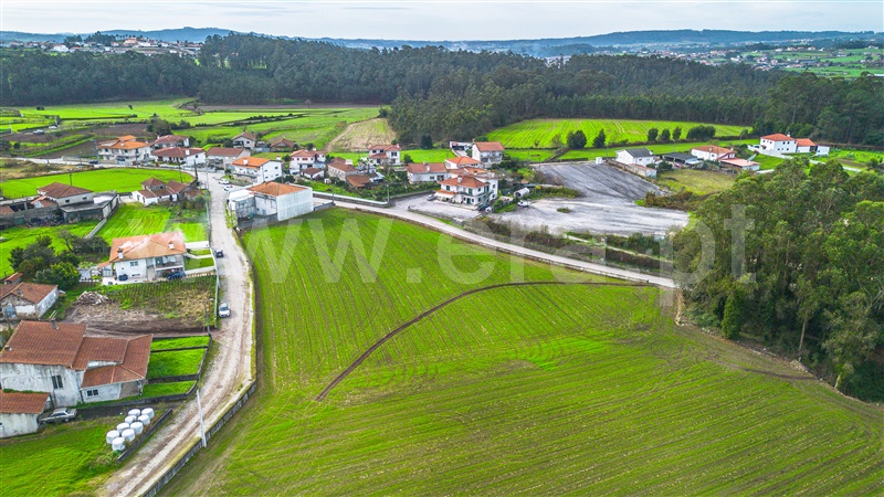 Terreno para Construção  Barcelos, Chorente, Góios, Courel, Pedra Furada e Gueral - 1443324 - 13