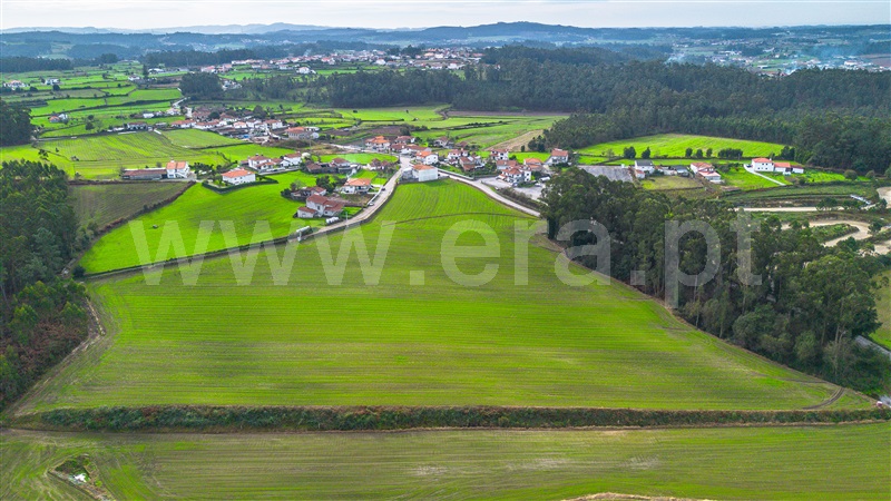 Terreno para Construção  Barcelos, Chorente, Góios, Courel, Pedra Furada e Gueral - 1443324 - 15
