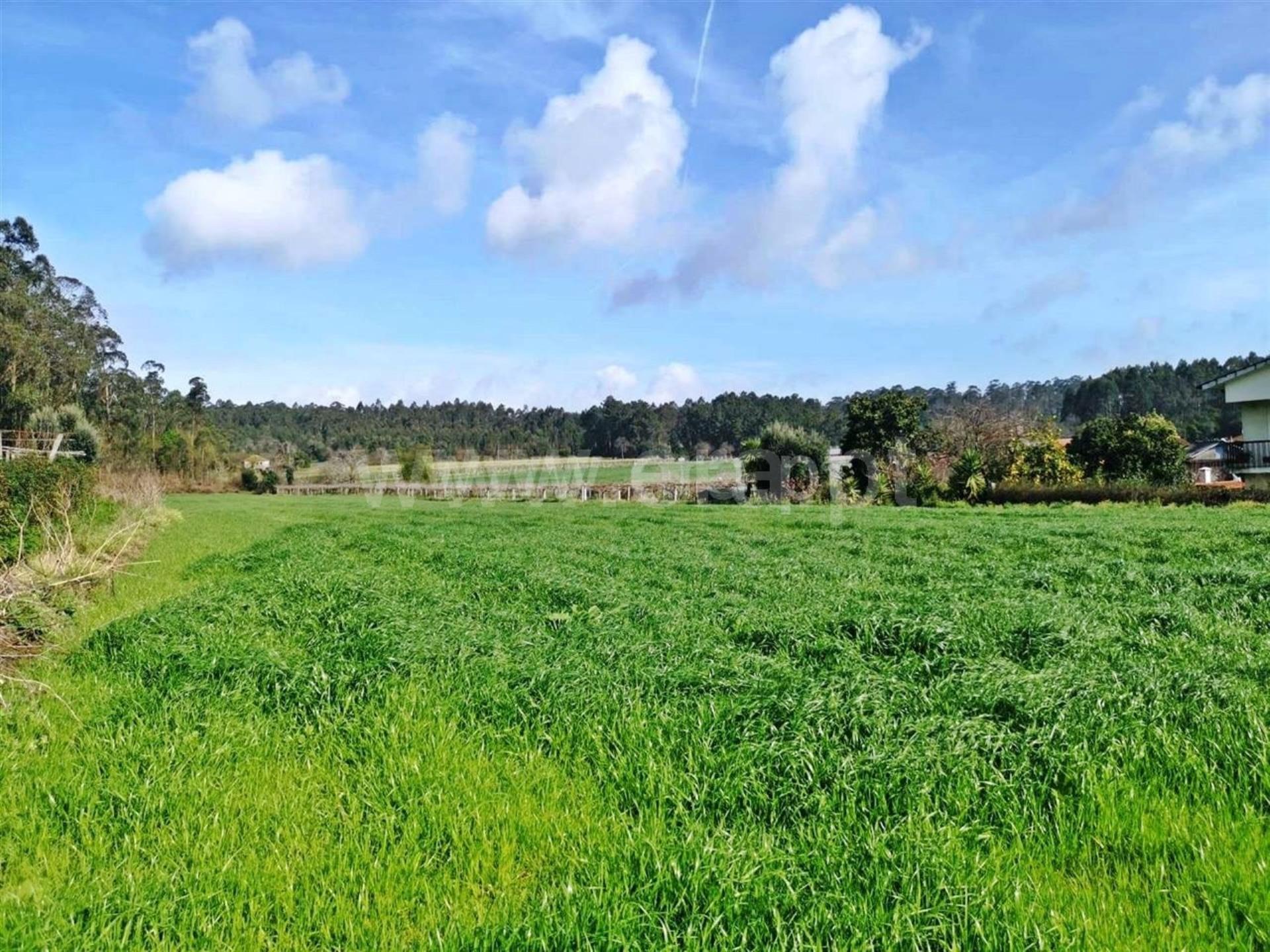 Land for sale in Barcelos, Portugal — €165,000