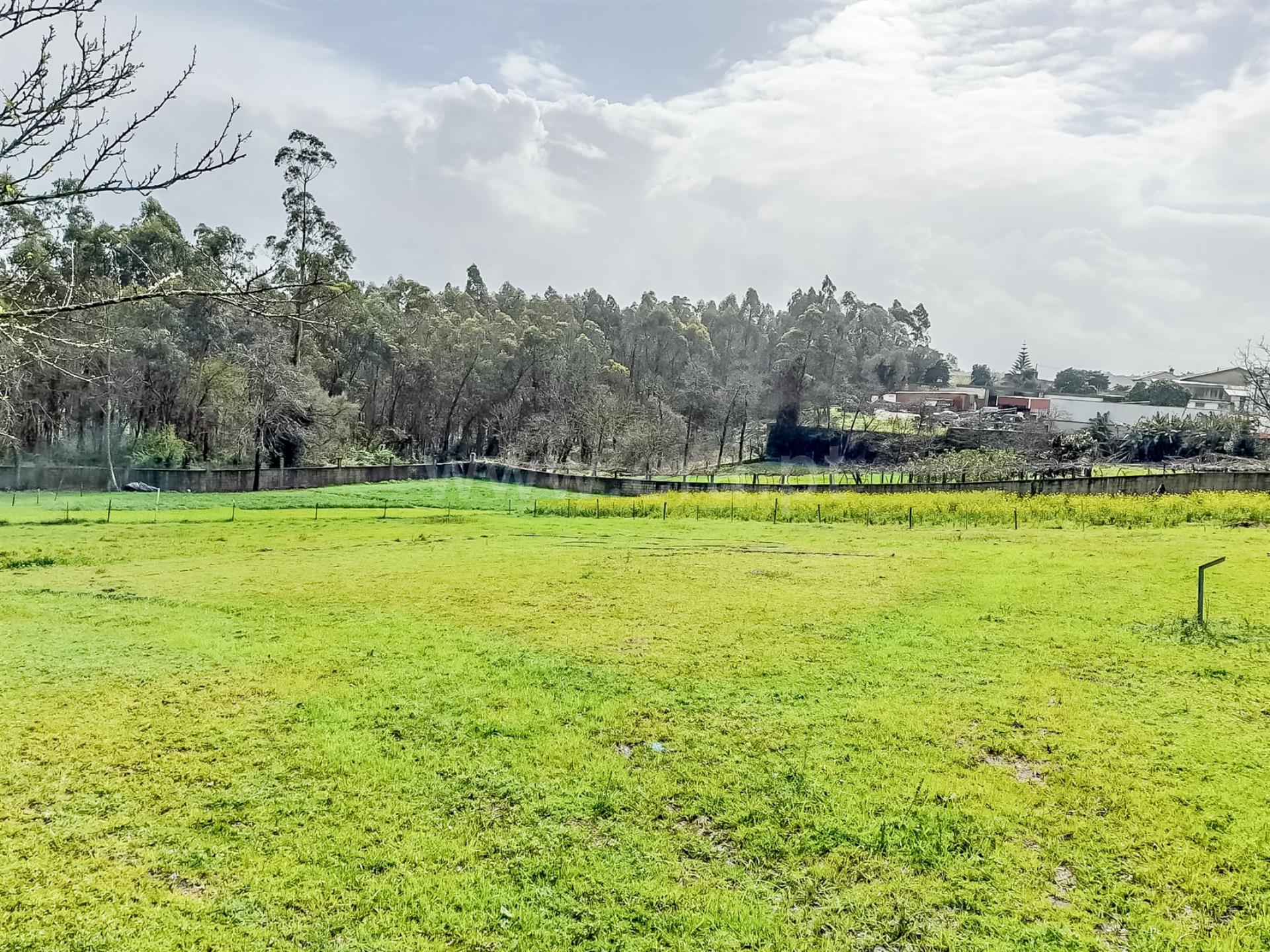 Land for sale in Barcelos, Portugal — €173,000