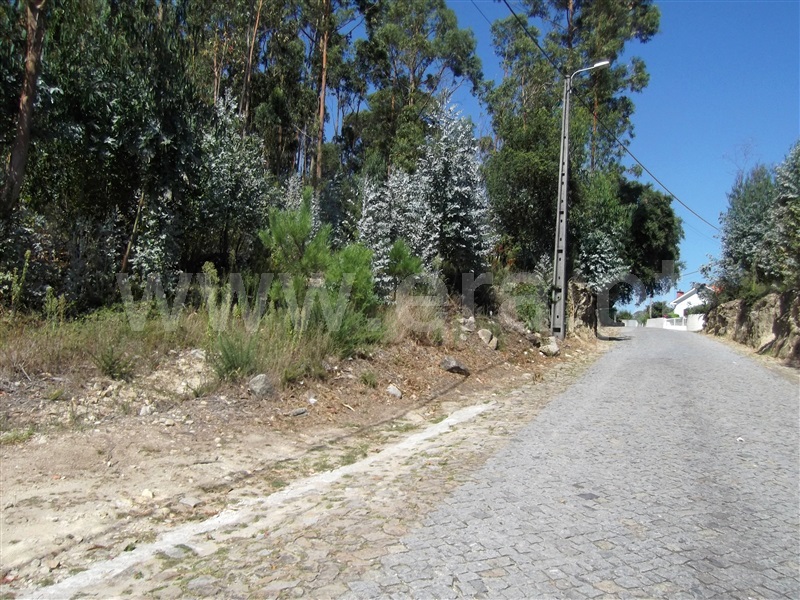 Terreno para Construção / Barcelos, Creixomil e Mariz