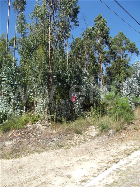 Terreno para Construção  Barcelos, Creixomil e Mariz - 1356831 - 2