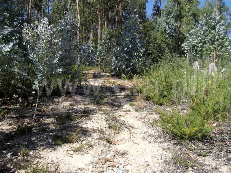 Terreno para Construção  Barcelos, Creixomil e Mariz - 1356831 - 4